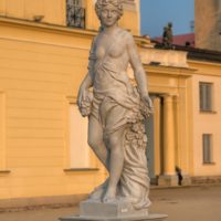 Flora na medalu 5. PKO Białystok Półmaratonu.