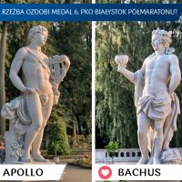 Jak ma wyglądać medal? Zdecydują biegacze!