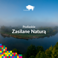 Podlaskie wspiera PKO Białystok Półmaraton